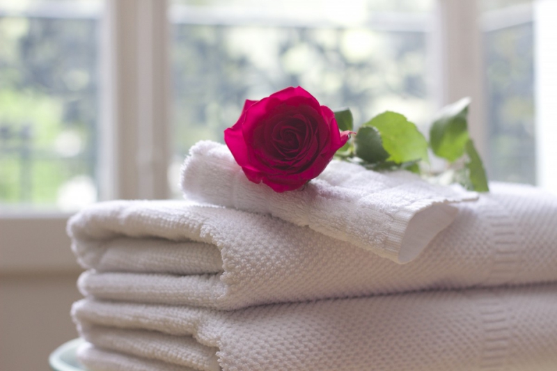 hotel-CAGNES SUR MER-min_towel_rose_clean_care_salon_spa_white_bath-731641